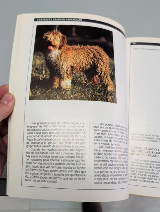 Las Razas Caninas Españolas