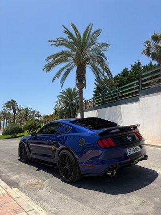 Shelby cobra Americano homologado