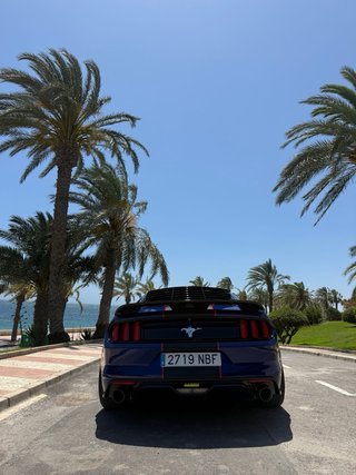 Shelby cobra Americano homologado