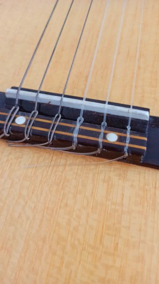 Chitarra Classica Clarissa Polverini