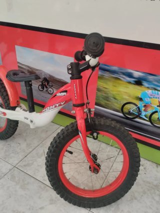 Bicicleta Monty Infantil