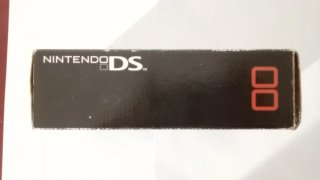 Console Nintendo DS (Modello 1) Argento