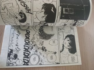 Manga Ranma 1/2