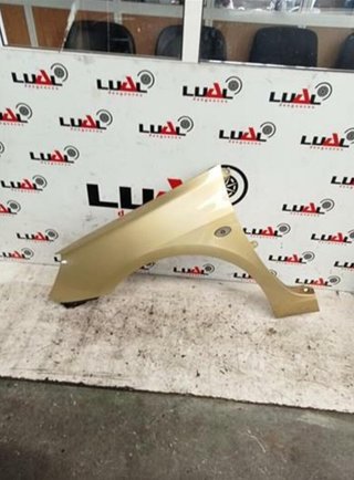 Peugeot 102065 rhydw10td aleta del izq 307 2.0 hdi