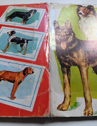Álbum de cromos de perros