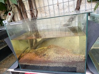 Urna acuario cristal negro