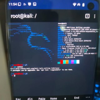 Samsung Galaxy S10 Kali Nethunter