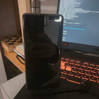 Samsung Galaxy S10 Kali Nethunter
