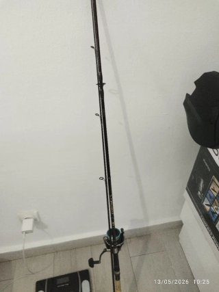 Varie canne da pesca in vendita separatamente