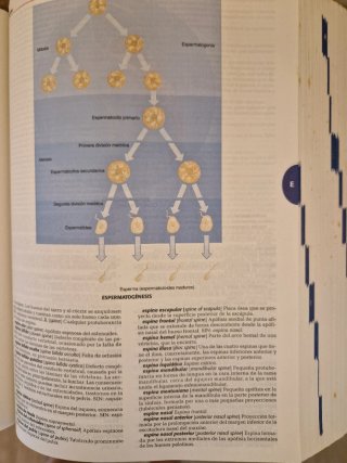 Enciclopedia Ciencias de la Salud