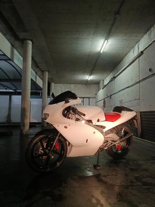 Aprilia RS125 2T Limitada carnet coche