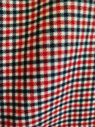 Gabardina a cuadros azul y roja
