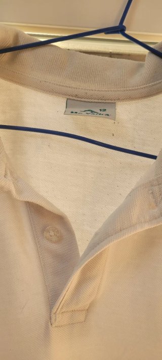 Polo uniforme Madre Alberta,Pureza de  Maria