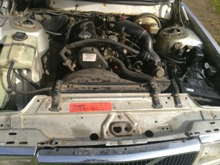 Volvo 240GL 1986