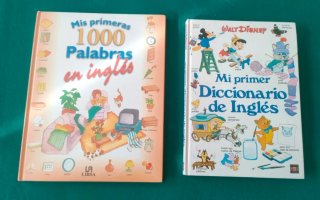 Mi Primer Diccionario de Ingles