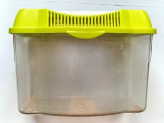 Lote Acuario: Carbón, Comida y Tratamiento