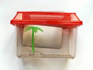 Lote Acuario: Carbón, Comida y Tratamiento