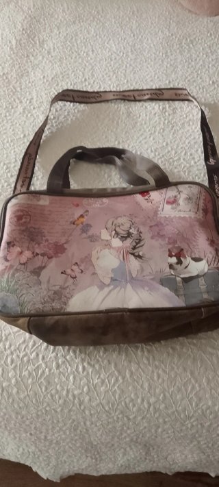 Lote de 5 bolsos.