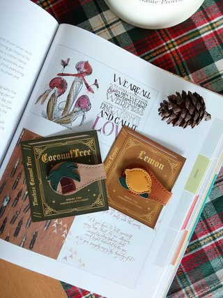 Magnetic Bookmark | Segnalibro Magnetico