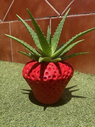Maceta Fresa Roja Plástico