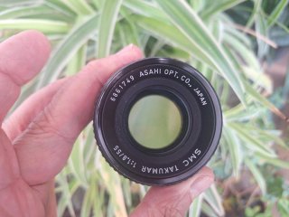 Pentax SMC Takumar 55mm f/1.8 M42