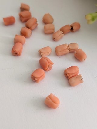 Cuentas de coral antiguo rosa