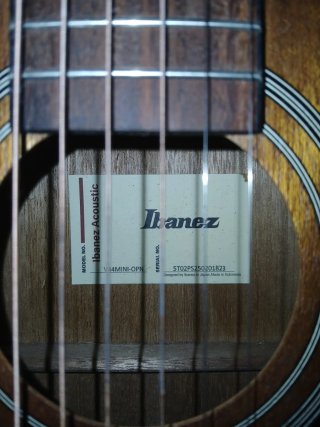 Guitarra Acústica Ibanez