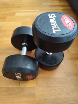 Mancuernas Taurus 32KG