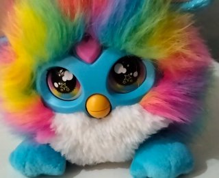 DJ Furby Rainbow, 2025, Aleman