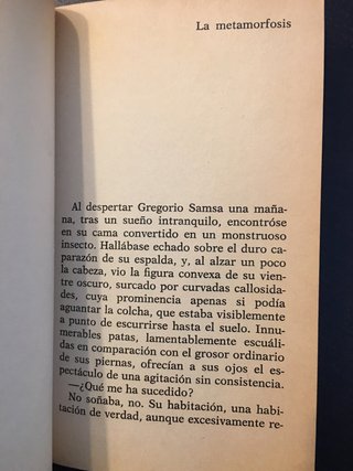 LA METAMORFOSIS. Kafka.