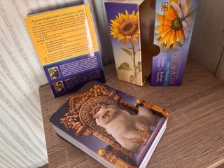 Tarot de los Animales - Libro y 78 cartas