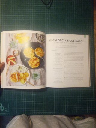 Cocina Vegana