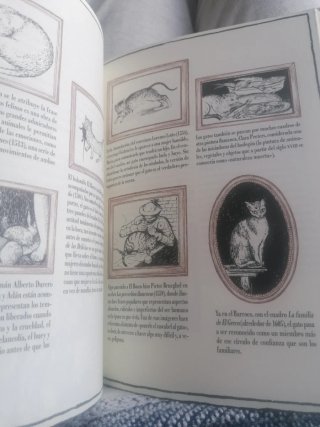 Historia de un gato