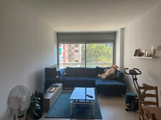 Alfombra IKEA Langsted Teal