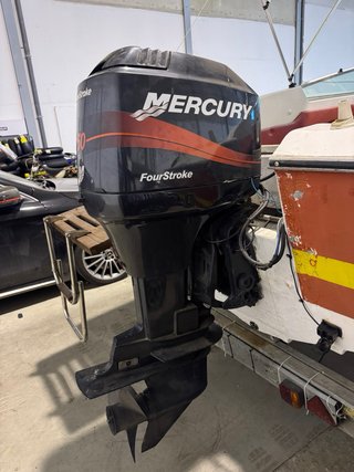 Barco Sea Ray con remolque