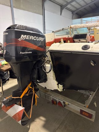 Barco Sea Ray con remolque