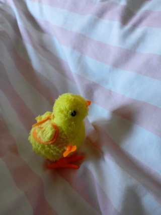 Pollito de peluche con cuerda