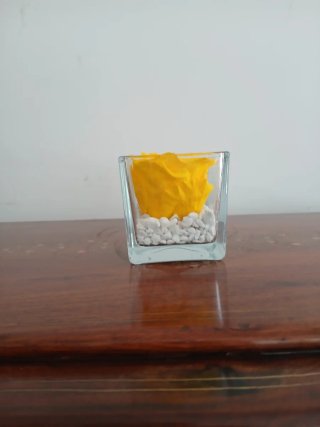 Rosa stabilizzata in vaso di vetro