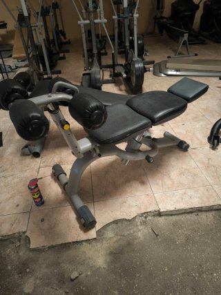 Panca addominali Technogym