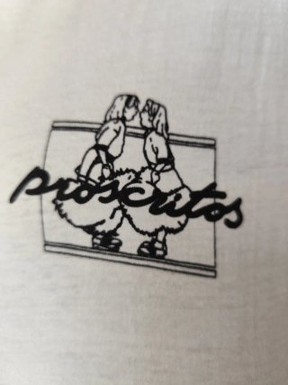 Camiseta con estampado de niñas