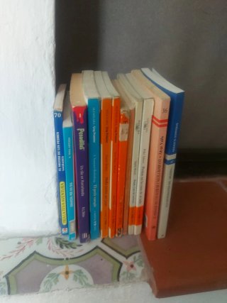Lote de libros infantiles