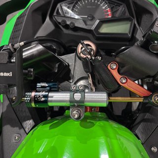 KAWASAKI NINJA 300