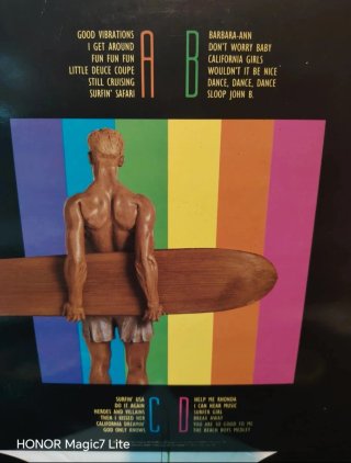 La Collezione The Beach Boys Vinile LP