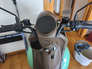 Scooter Eléctrico Tekuon L Verde/Marrón