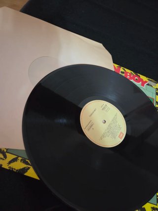 Vinilo Tarzán Boy -