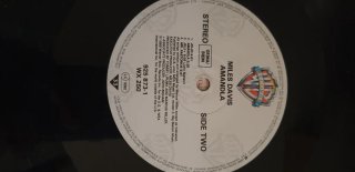 Miles Davis Vinile Amandla Jazz
