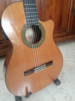 Guitarra Alhambra 5P CW E8