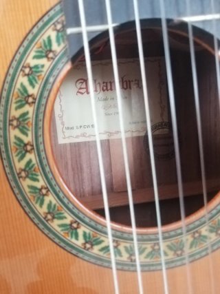 Guitarra Alhambra 5P CW E8