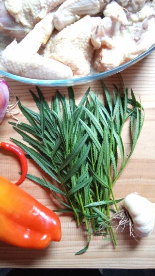 Huacatay (culinaria aromática)