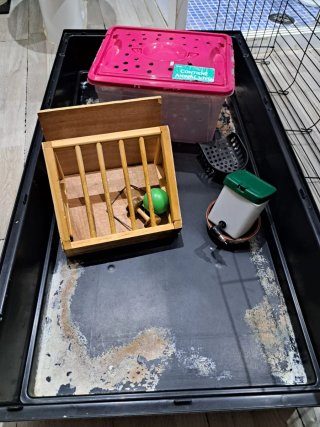 Jaula para cobaya/conejo con accesorios